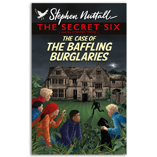 The Secret Six: The Baffling Burglaries book cover